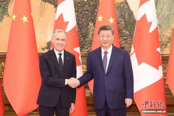习近平会见加拿大总理卡尼